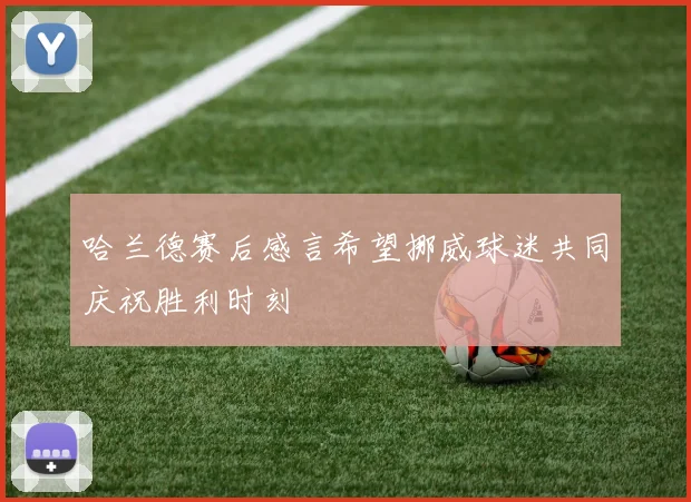 哈兰德赛后感言希望挪威球迷共同庆祝胜利时刻