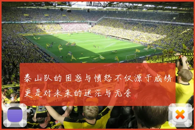 泰山队的困惑与愤怒不仅源于成绩更是对未来的迷茫与无奈